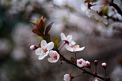 《切尔诺贝利人》主机版推迟至9月28日发行